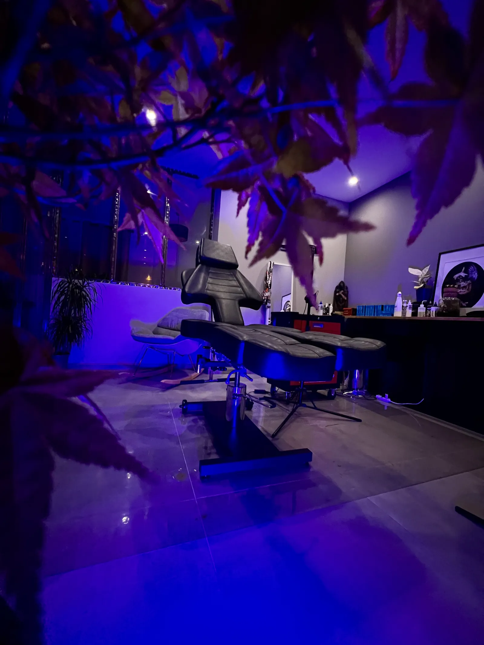 Une salle de tatouage du shop plongée dans la lumière